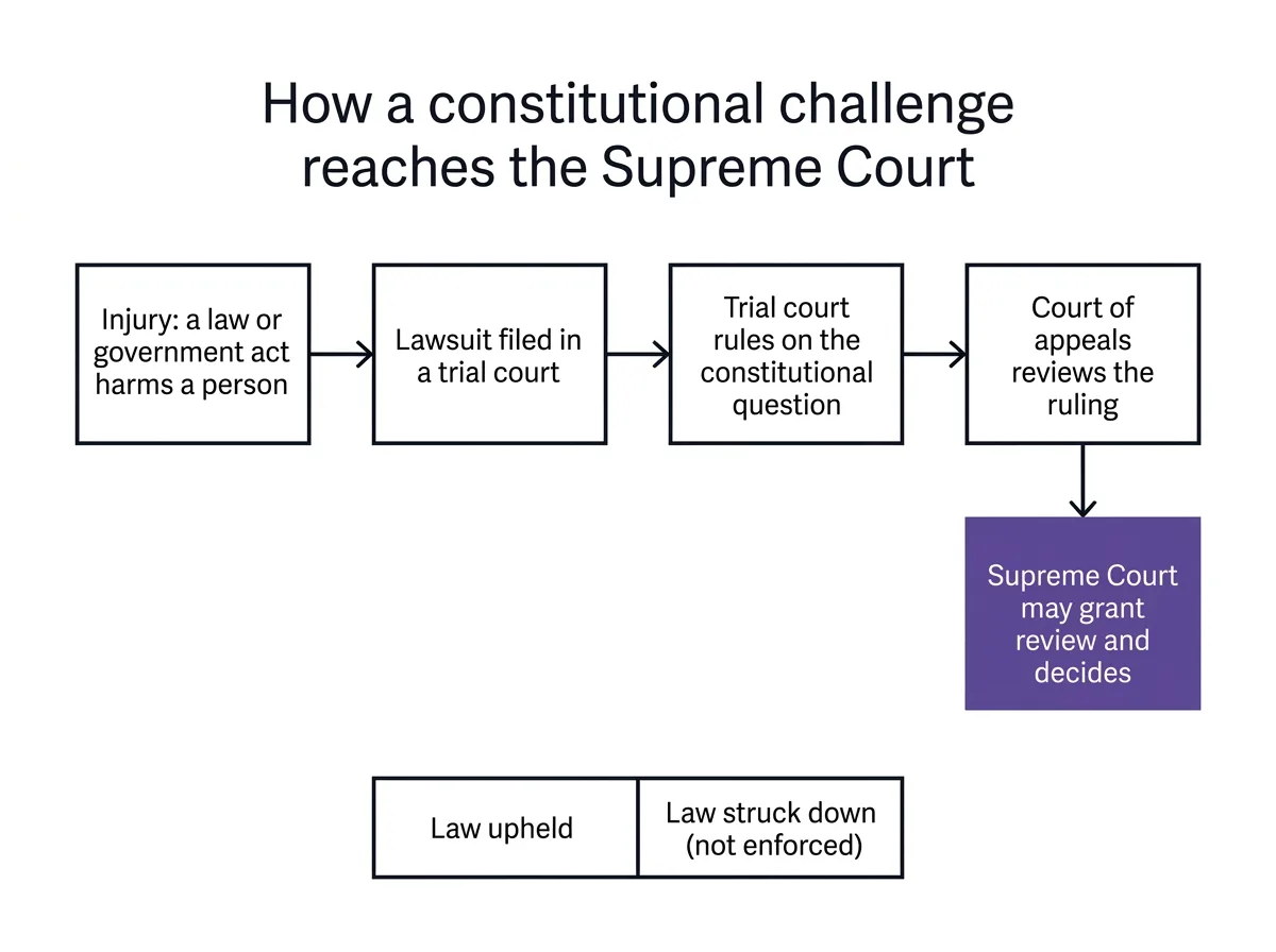 Infographic showing how a constitutional challenge moves from a lawsuit through trial and appeals courts to the Supreme Court